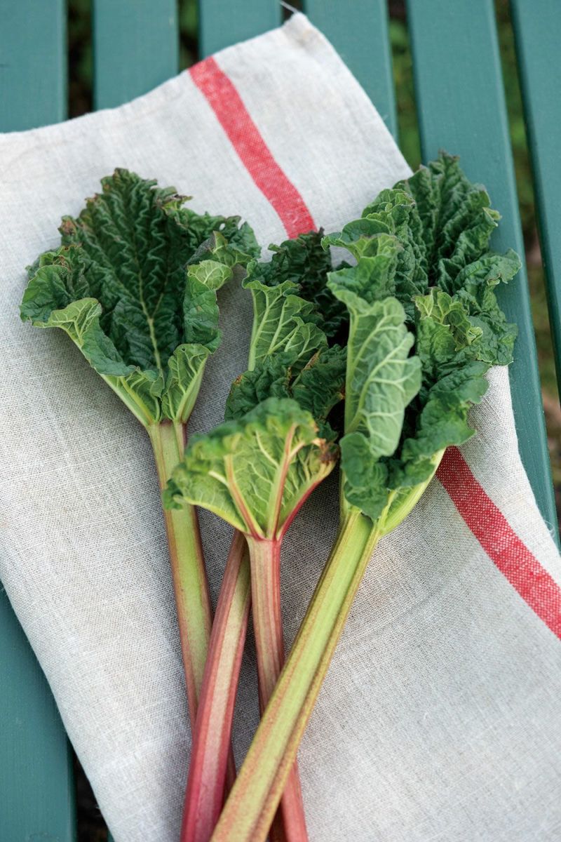 【美品】LOEF ロエフ　コットンナイロンリリヤンベスト　トマトレッド 美品】LOEF ロエフ コットンナイロンリリヤンベスト トマト